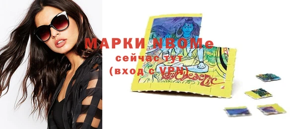дурь Бородино