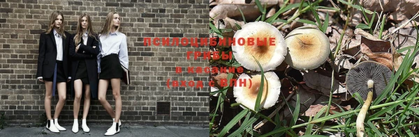 стафф Волосово