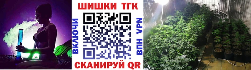 где купить Заречный мега как войти Шишки марихуана SATIVA & INDICA